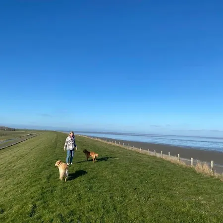 Neues Nr 84 Direkt Am Wattenmeer, Eingezaeunt, Hundefreundlich בית נופש Westerland