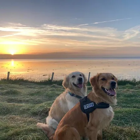 Neues Nr 84 Direkt Am Wattenmeer, Eingezaeunt, Hundefreundlich Westerland